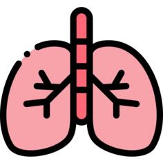 Lungs