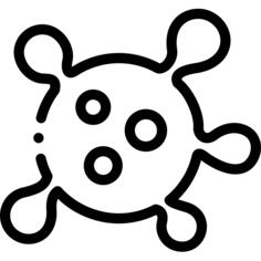 Bacteria