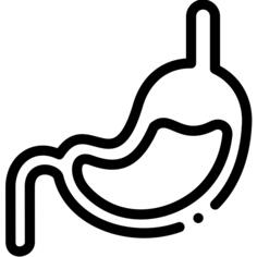 Stomach