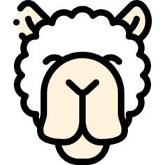 Alpaca