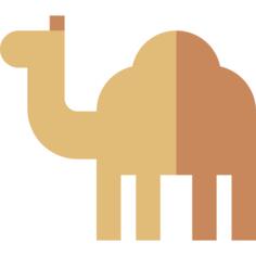 Dromedary