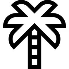 Palm tree