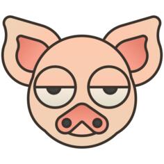 Pig