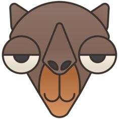 Camel