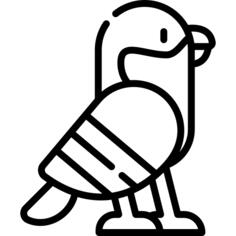 鹰