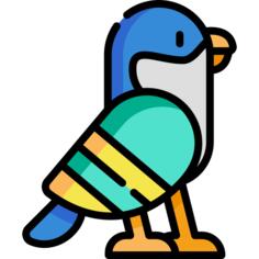 鹰