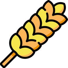 Barley