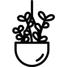 植物