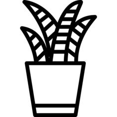 植物
