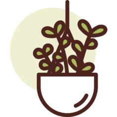 植物