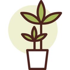 植物