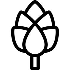Artichoke