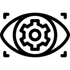 Vision