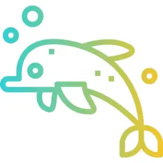Dolphin