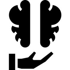 脑