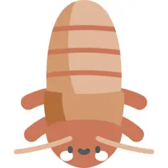 Madagascar hissing cockroach