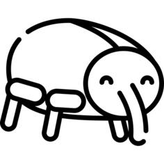 Weevil