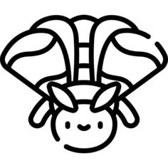 Moth