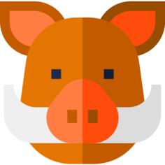 公猪