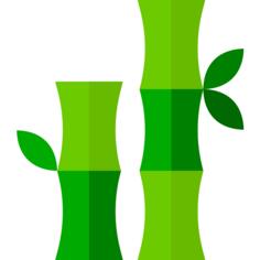 Bamboo