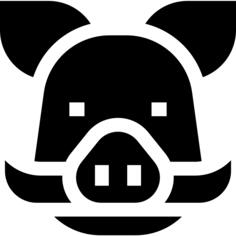 公猪
