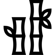 Bamboo