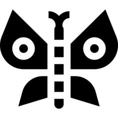 蝴蝶