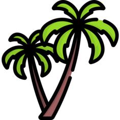 棕榈树