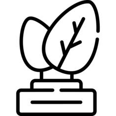 Trophy