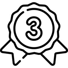 Bronze medal