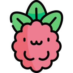 Raspberry
