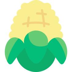 Corn
