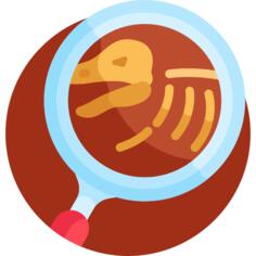 Paleontology