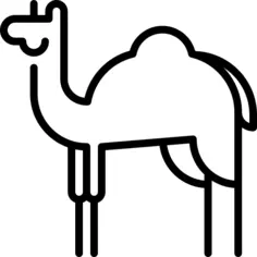 Camel