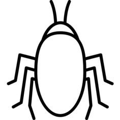 Roach