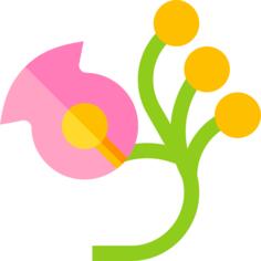 花艺设计