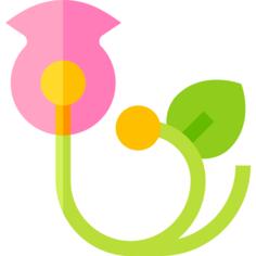 花艺设计