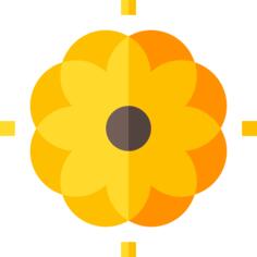 花艺设计