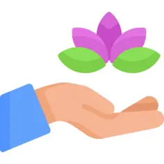莲花