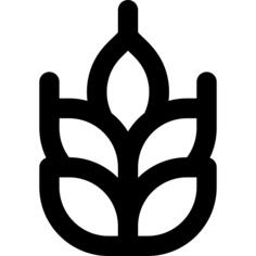 谷物