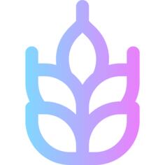 谷物