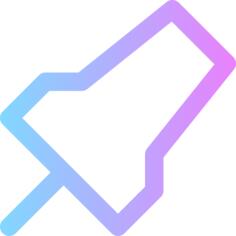 Pin
