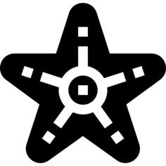 海星