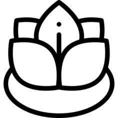 莲花