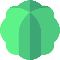 Cabbage