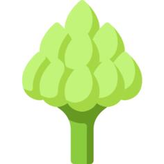 Artichoke