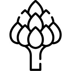 Artichoke