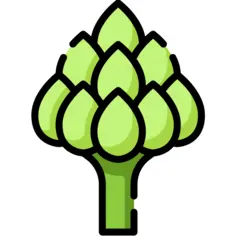 Artichoke