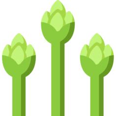 Asparagus