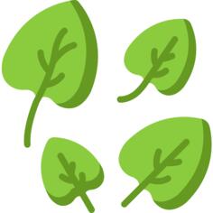 Spinach